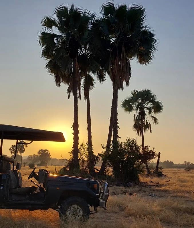 African savannah at golden hour with safari vehicle and palms