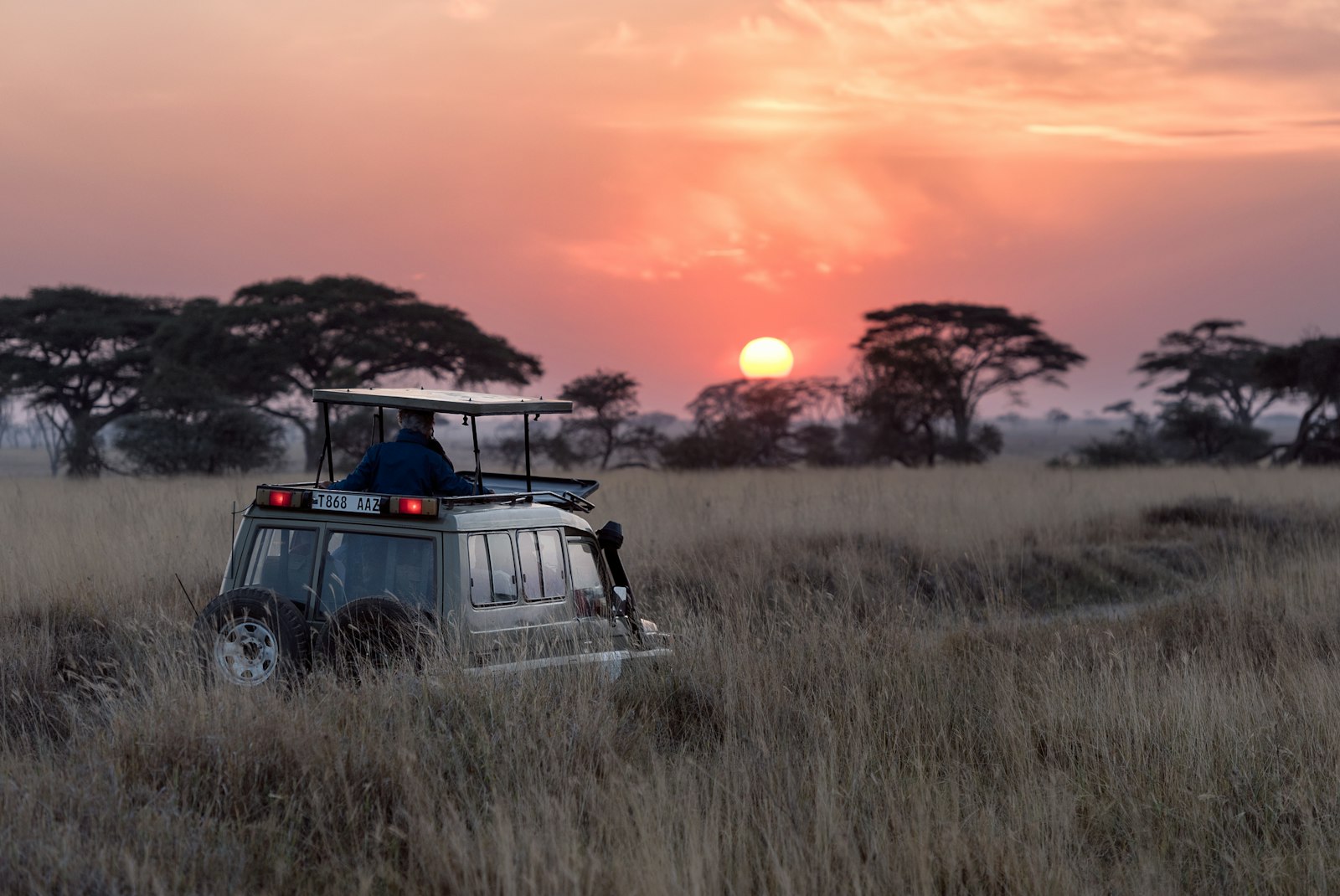 Budget Safari Guide: How to Experience Africa for Under $1,000 (2026)